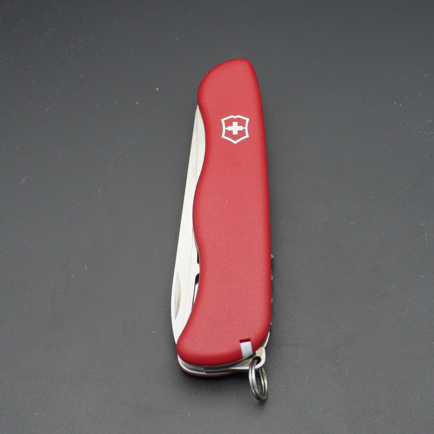 Victorinox Vintage Discontinued Cheese Master 111mm Käsemesser (damaged Box)