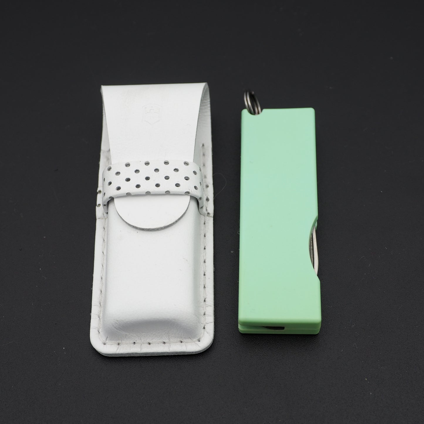 Victorinox Tomo light green