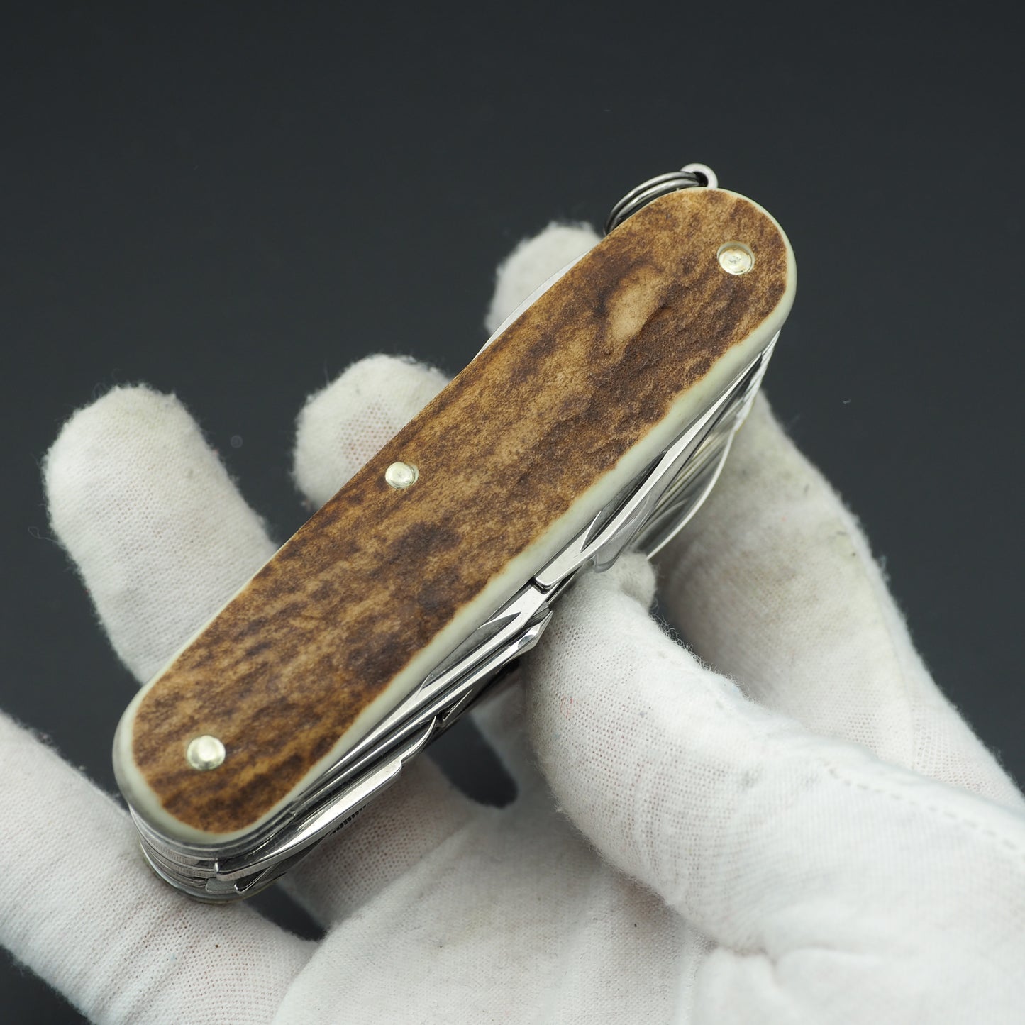 Victorinox Swisschamp Staghorn 1.6791.66  (NEW)