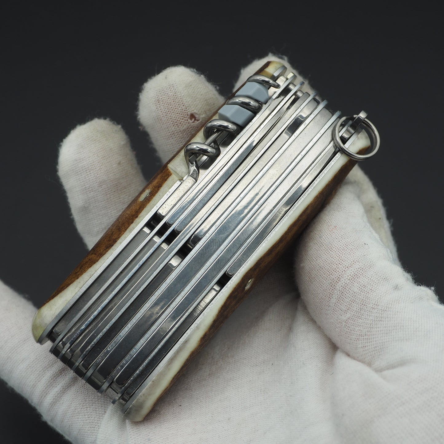 Victorinox Swisschamp Staghorn 1.6791.66  (NEW)